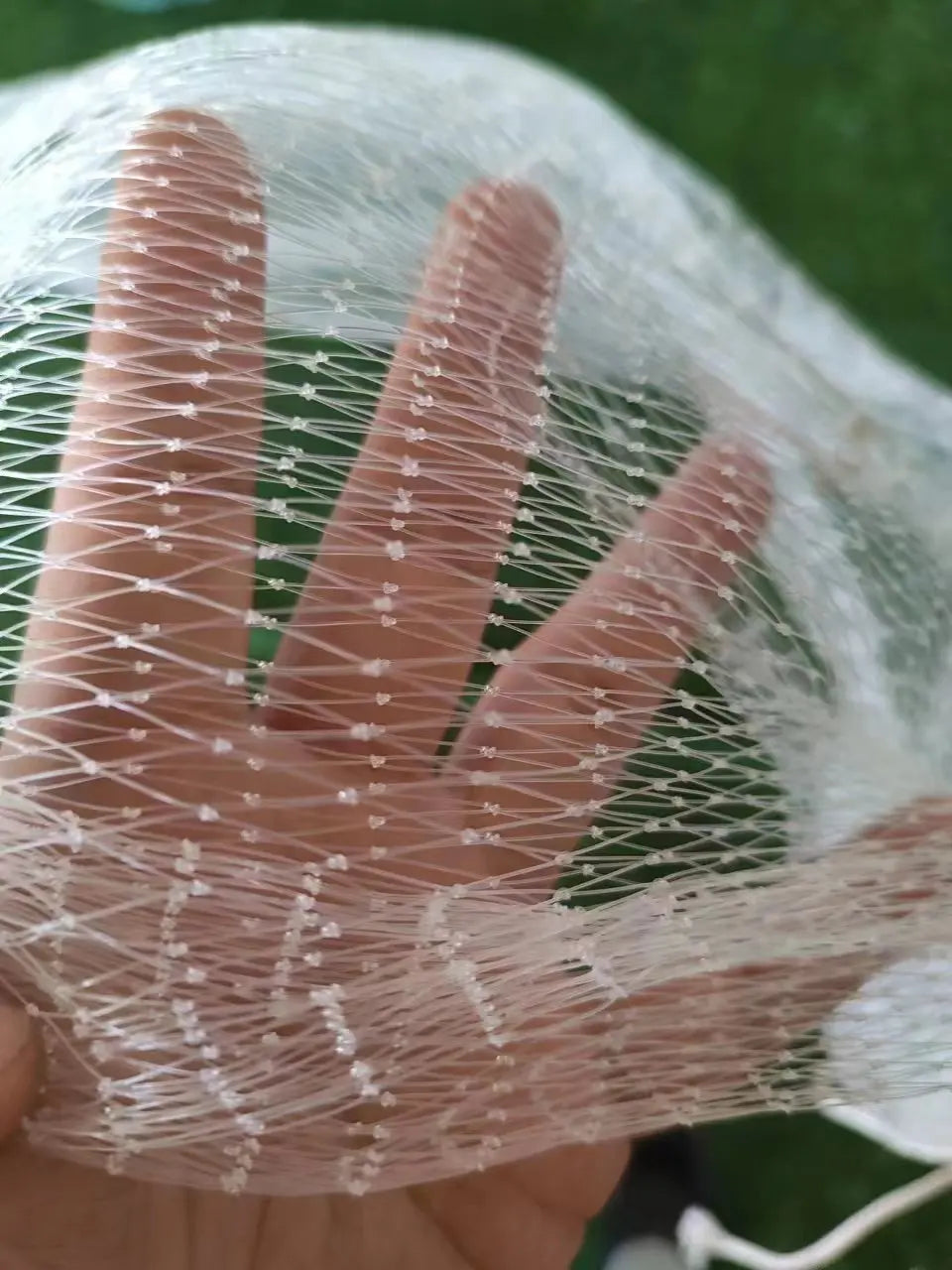 Collapsible Hoop Bait Trap Net — Stainless, Drop-Net